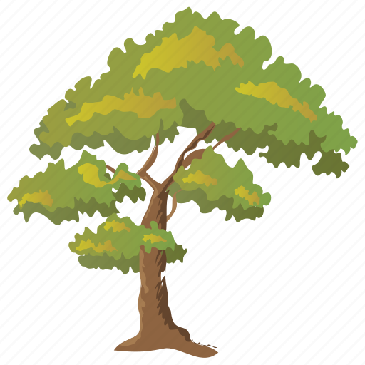 Forest, oak tree, round tree, tree trunk, woods icon - Download on Iconfinder