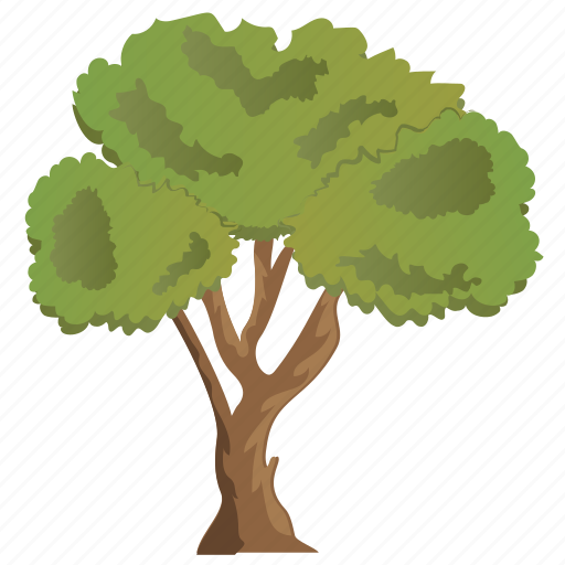 Agriculture, ecology, evergreen tree, forestry, linden tree icon - Download on Iconfinder