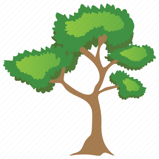 Agriculture, bitternut hickory tree, forestry, nature, tree icon - Download on Iconfinder