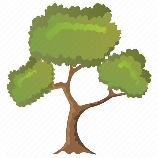 Black willow tree, deciduous tree, ecology, forestry, photosynthesis icon - Download on Iconfinder