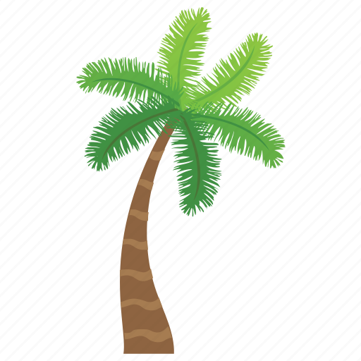 Date palm, generic tree, nature, palm tree, tropical tree icon - Download on Iconfinder