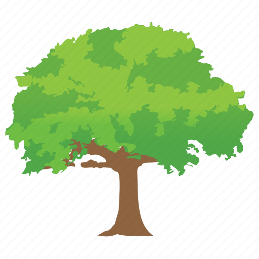 Black locust tree, forest, nature, tree trunk, woods icon - Download on Iconfinder