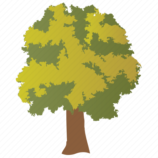 Basswood tree, forest, generic tree, green foliage, odorless wood icon - Download on Iconfinder