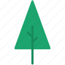 pine, tree, xmas, nature, forest, garden, green, decoration, leaf