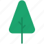 pine, tree, xmas, nature, forest, garden, green, decoration, leaf 