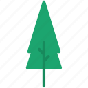 pine, tree, xmas, nature, forest, garden, winter, green, christmas tree