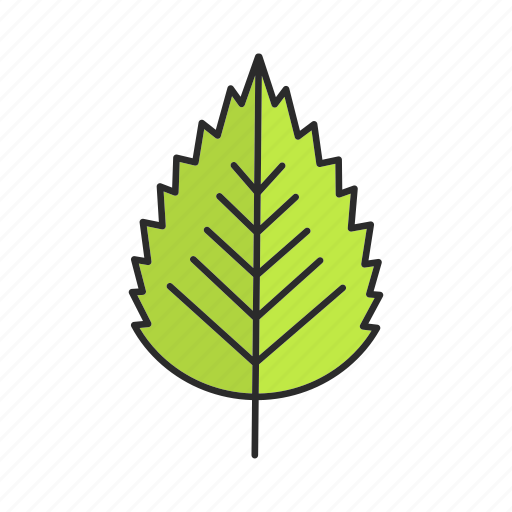 Birch, forest, leaf, nature, park, tree, foliage icon - Download on Iconfinder