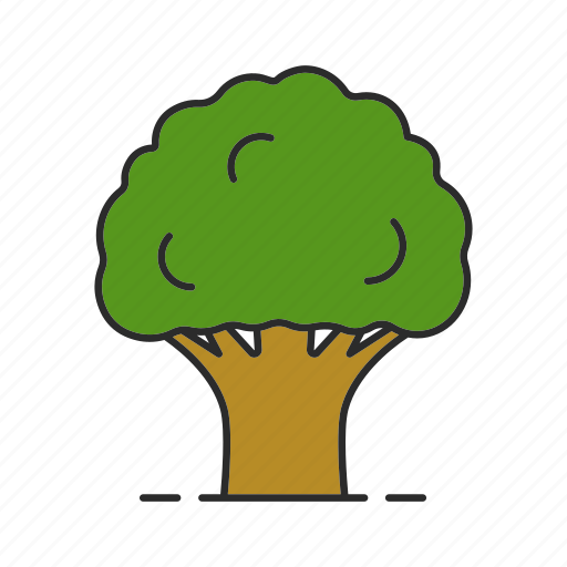 Forest, nature, oak, oak-tree, park, plant, tree icon - Download on Iconfinder