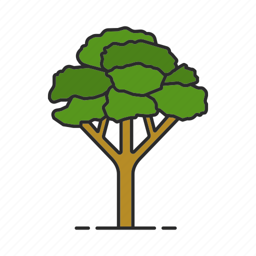 Acer, foliage, forest, maple, nature, park, tree icon - Download on Iconfinder