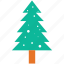 fir, tree, christmas tree, generic tree 