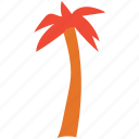 palm, tree, nature, generic tree