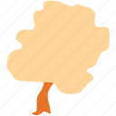 oak, nature, tree, generic tree