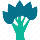 generic tree, leafy, tree, vase form