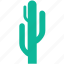 cactus, desert plant, nature, generic 