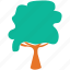 generic tree, summer tree, tree, shrub 