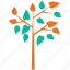 branch, generic, leafy, tree 