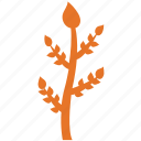 branch, nature, tree branch, plant