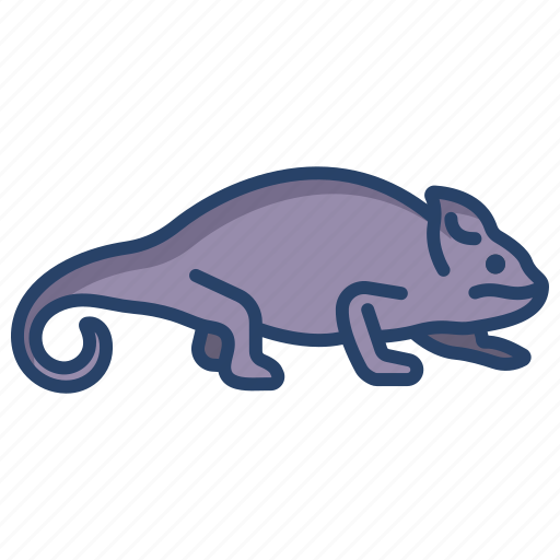 Chameleon icon - Download on Iconfinder on Iconfinder