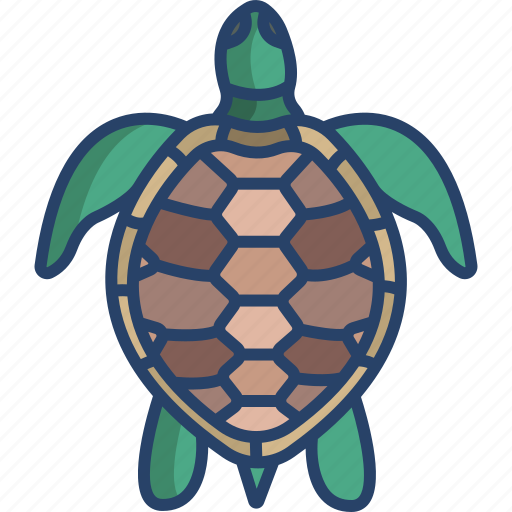 Turtle icon - Download on Iconfinder on Iconfinder