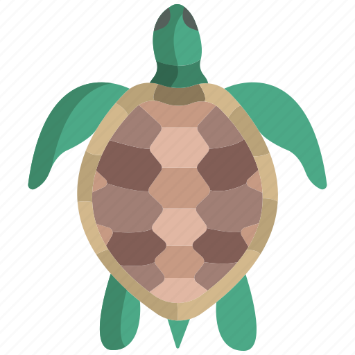Turtle icon - Download on Iconfinder on Iconfinder