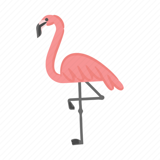 Flamingo, tropical, bird, wading, pink icon - Download on Iconfinder