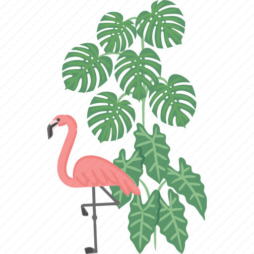 Flamingo, tropical, bird, wading, plant icon - Download on Iconfinder