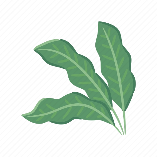 Heliconia, bird, of, paradise, tropical, flower, leaf icon - Download on Iconfinder