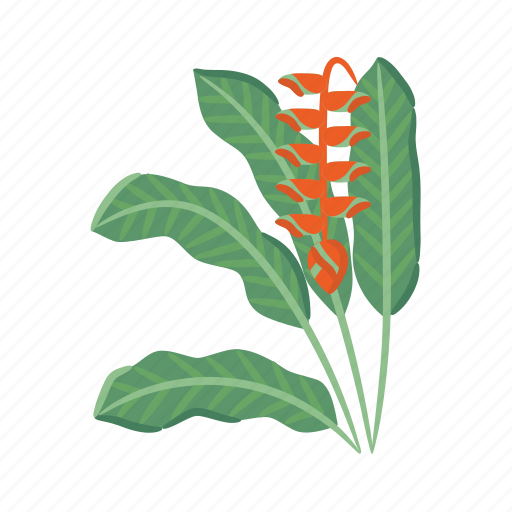 Heliconia, flower, bird, of, paradise, tropical, plant icon - Download on Iconfinder
