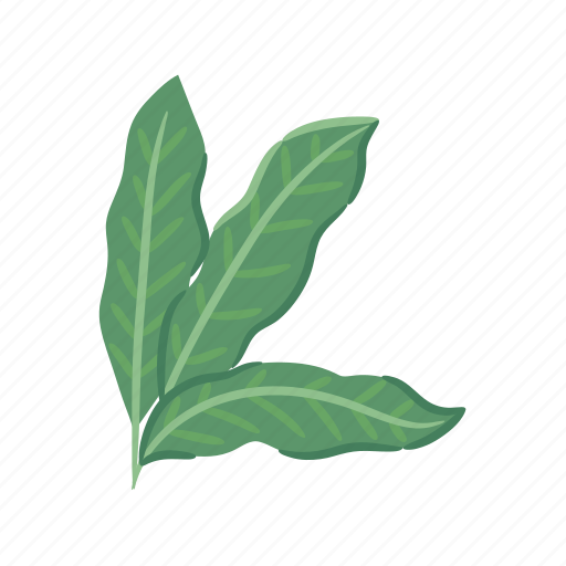 Heliconia, leaf, bird, of, paradise, tropical, flower icon - Download on Iconfinder