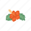 hibiscus, hawaii, floral, flower, tropical 