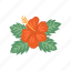 hibiscus, floral, flower, tropical, hawaii 