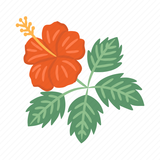 Hibiscus, flower, tropical, hawaii, floral icon - Download on Iconfinder