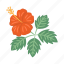 hibiscus, flower, tropical, hawaii, floral 