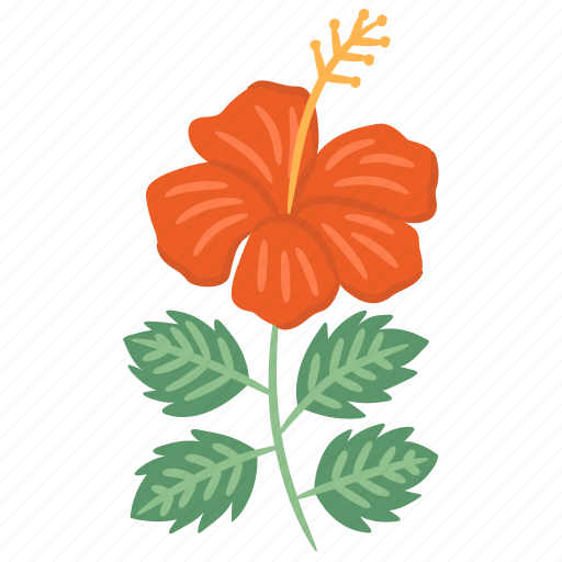 Hibiscus, tropical, hawaii, floral, flower icon - Download on Iconfinder