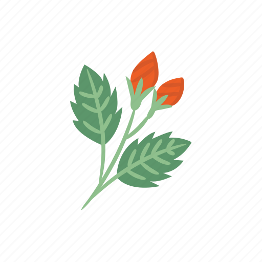 Hibiscus, tropical, floral, flower, red icon - Download on Iconfinder
