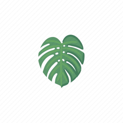 Monstera, swiss, cheese, plant, tropical, leaf icon - Download on Iconfinder