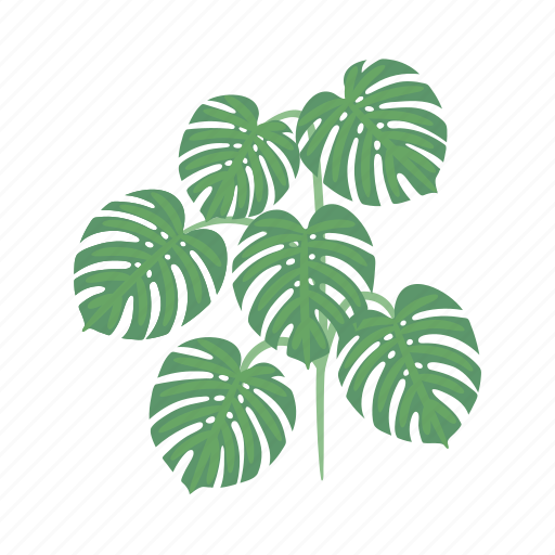 Monstera, tropical, swiss, cheese, plant, leaf icon - Download on Iconfinder
