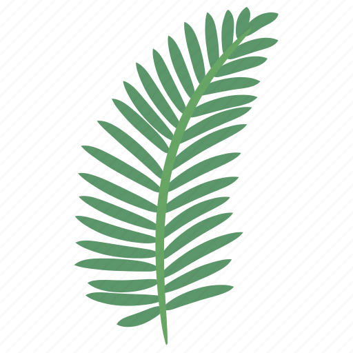 Palm, leaf, coconut, tropical icon - Download on Iconfinder