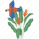 parrot, bird, flying, tropical, heliconia
