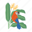 parrot, bird, heliconia, tropical, leaf 