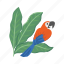 parrot, bird, tropical, leaf, heliconia 