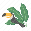 toucan, bird, tropical, leaf, heliconia