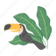 toucan, bird, tropical, leaf, heliconia 
