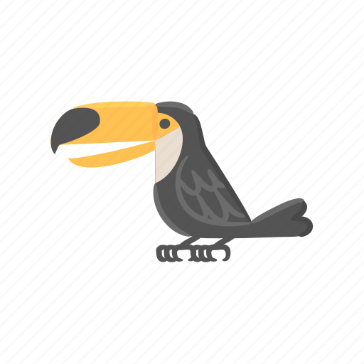 Toucan, bird, tropical, toco icon - Download on Iconfinder