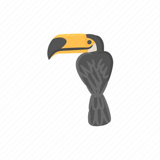 Toucan, toco, bird, tropical icon - Download on Iconfinder