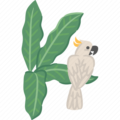White, cockatoo, bird, tropical, leaf, heliconia icon - Download on Iconfinder