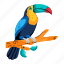 toucan, ramphastos, exotic bird, tropical bird, keel bird 