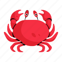 seafood, crab, sea animal, sea creature, brachyura