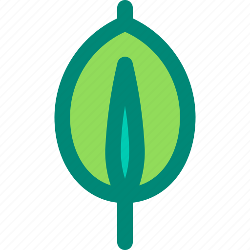 Fig, leaf, nature, plant, rubber, tree, tropical icon - Download on Iconfinder