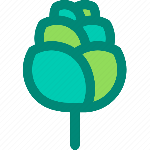 Foliage, hops, leaf, nature, plant, tropical icon - Download on Iconfinder
